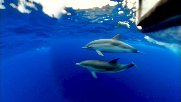 giardini-naxos-taormina-coast-boat-tour-with-snorkeling