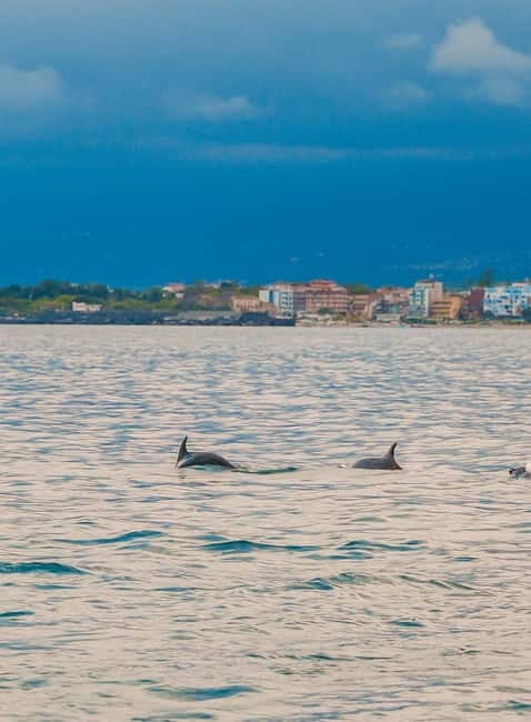 Giardini Naxos Taormina: Dolphin Watching Sunset Tour - Why You’ll Love This Experience