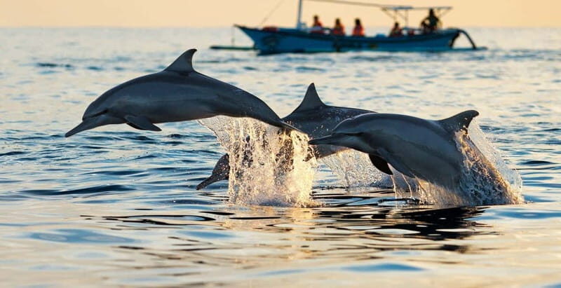 Giardini Naxos Taormina: tour in barca lungo la costa - Discover the Beauty of Sicilys Eastern Coast with a Boat Tour from Taormina