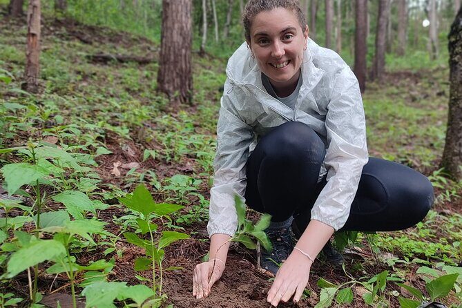 Gibbon Conservation and Cultural 2-Days Adventure - The Second Day: More Gibbon Action and Cultural Insights