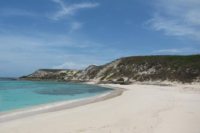gibbs-cay-stingray-and-conch-dive-adventure