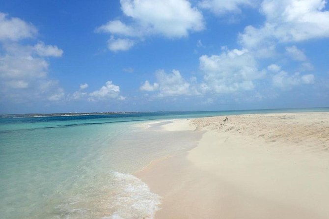 gibbs-cay-stingray-and-conch-dive-adventure