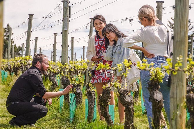 Gibbston Valley Wines - Cave Tour - FAQs