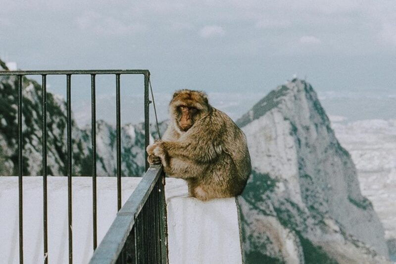 gibraltar-day-trip-from-seville
