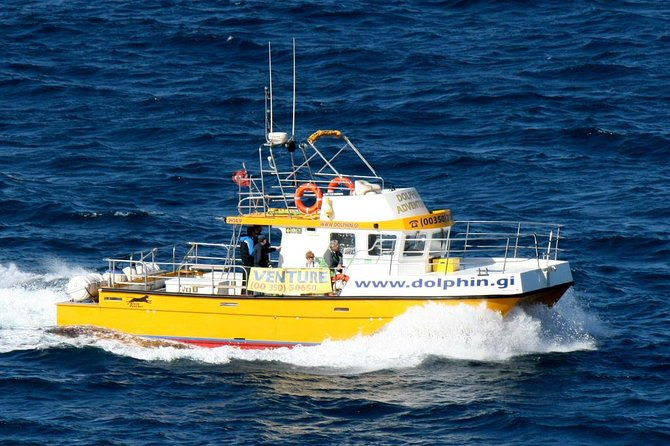 gibraltar-dolphin-adventure