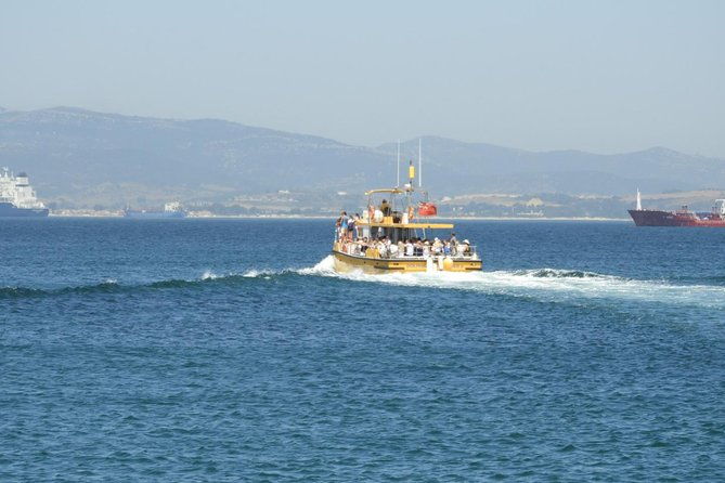 gibraltar-dolphin-adventure