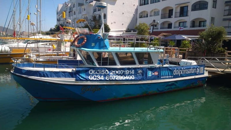 Gibraltar: Dolphin Watching Boat Tour V.I.P - An Introduction to the Gibraltar Dolphin Watching Experience