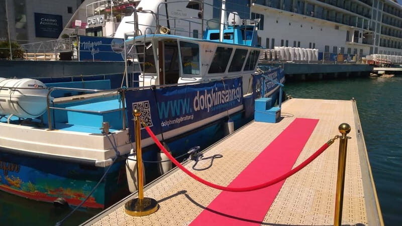 Gibraltar: Dolphin Watching Boat Tour V.I.P - Logistics and Practical Details