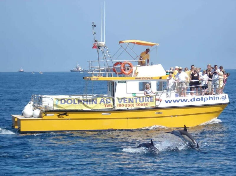 Gibraltar: Dolphin Watching Tour - The Marine Life and Wildlife Encounters