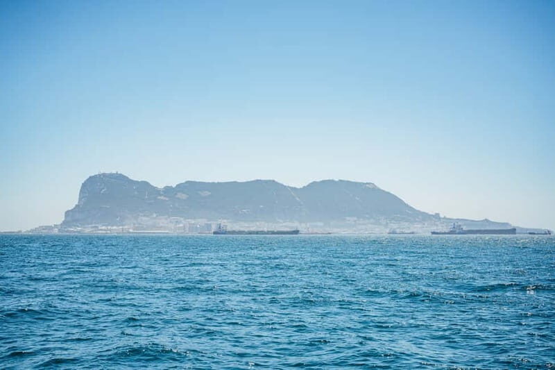 Gibraltar: Dolphin Watching Tour - Practical Tips for Making the Most of Your Trip