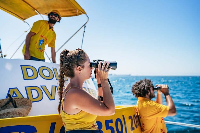 Gibraltar: Dolphin Watching Tour - The Itinerary Breakdown