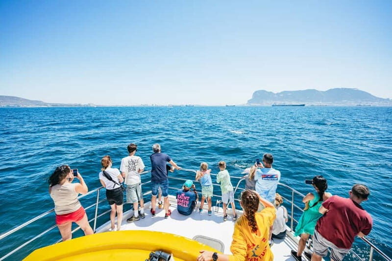 Gibraltar: Dolphin Watching Tour - Authentic Reviews and Insights