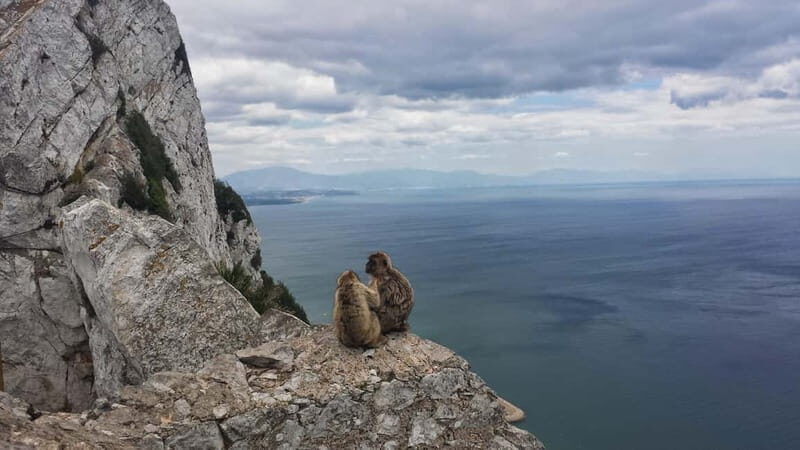 Gibraltar: Guided Tour by Bus Including Tickets - Final Thought  