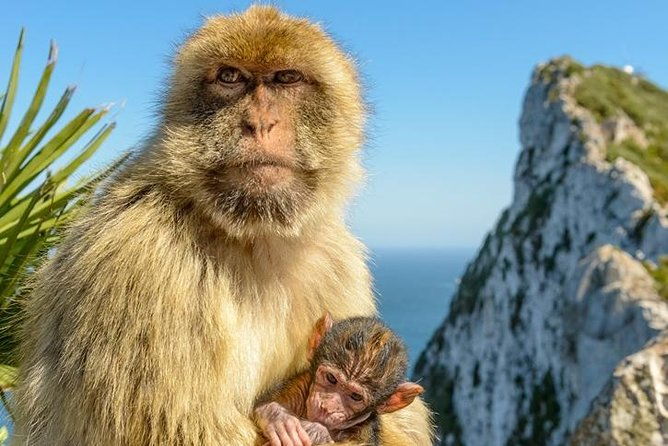 gibraltar-inside-out-extended-tour-2-30hrs-2