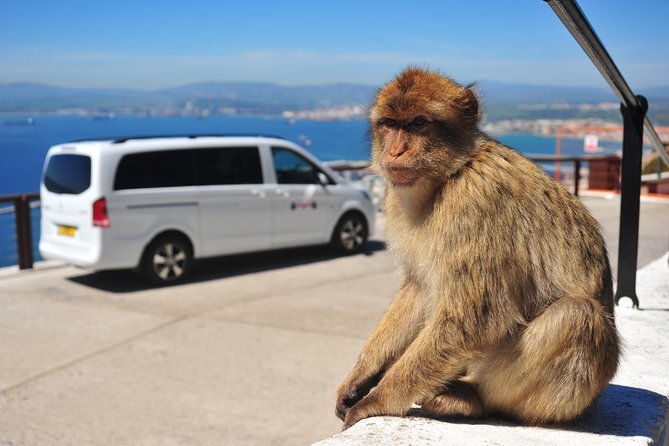gibraltar-inside-out-standard-tour-1-45hrs-2