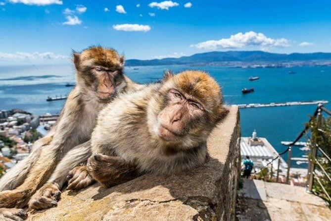 gibraltar-pass-the-official-city-pass-for-all-attractions