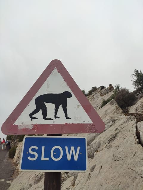 gibraltar-premium-private-day-trip-rock-tour