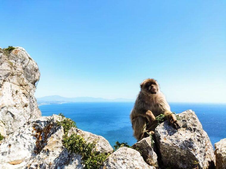 gibraltar-premium-private-day-trip-rock-tour