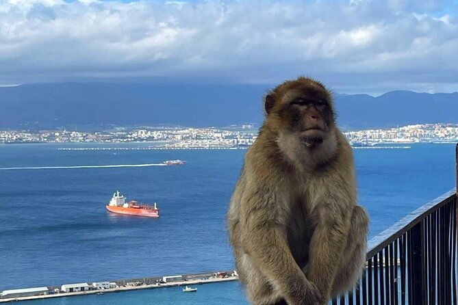 gibraltar-private-daytrip-from-malaga