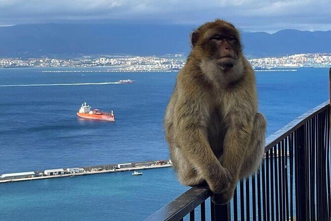 Gibraltar Private Daytrip From Sevilla - The Journey Begins: Pickup and Travel