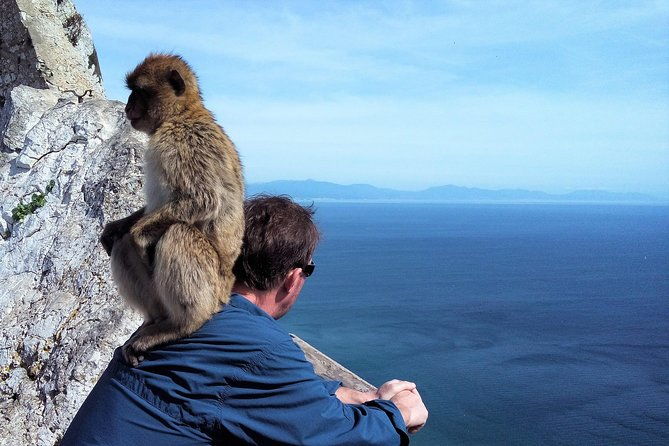 gibraltar-private-tour-from-marbella-or-malaga