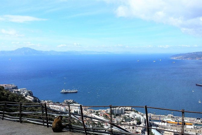 gibraltar-private-trip-from-marbella-or-malaga