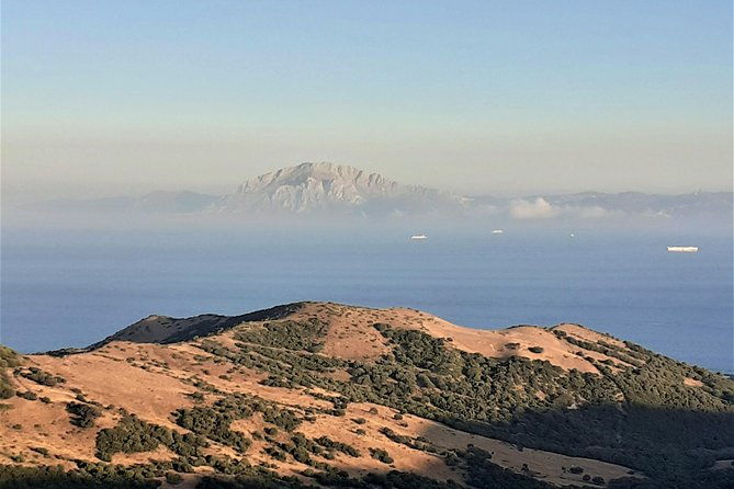 gibraltar-private-trip-from-marbella-or-malaga
