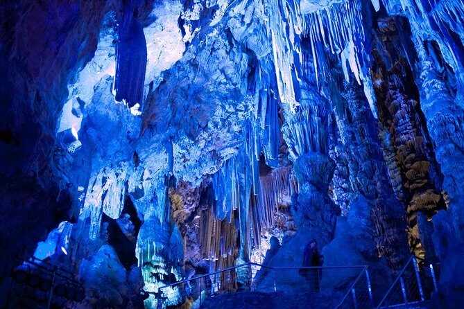 Gibraltar Rock Guided Tour - Exploring Gibraltar in a Short Time