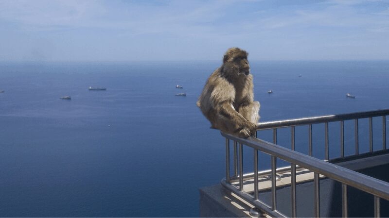 Gibraltar shopping: Desde Málaga y la Costa del Sol - Frequently Asked Questions (FAQs)