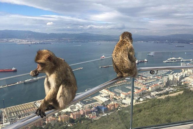 gibraltar-sightseeing-classic-rock-tour-plus-world-war-2-tunnels-private