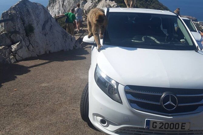 gibraltar-sightseeing-classic-shore-excursion-private