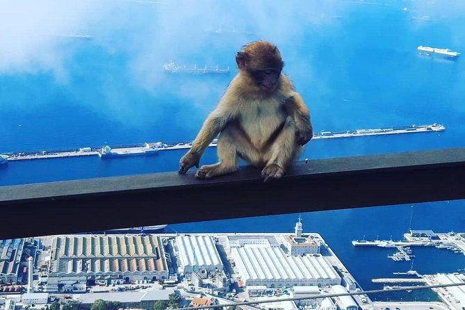 gibraltar-sightseeing-extended-rock-tour-shore-excursion-private
