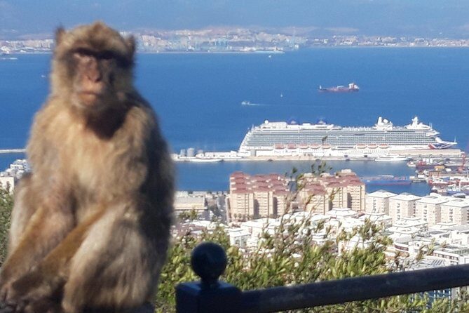 Gibraltar Sightseeing :SKYWALK AND SUSPENSION BRIDGE TOUR (Private) - The Sum Up