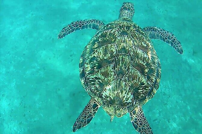 Giftun Island ( Orange bay ) from Hurghada - Who Would Love This Tour?