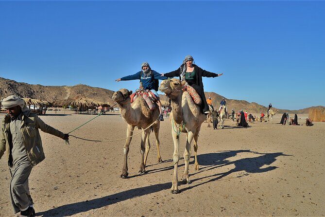 Giftun Island VIP Sea Trip Lunch on Bord and Transfer - Hurghada - What Makes This Trip Special?