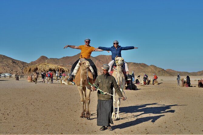 Giftun Island VIP Sea Trip Lunch on Bord and Transfer - Hurghada - Who Is This Tour Best Suited For?