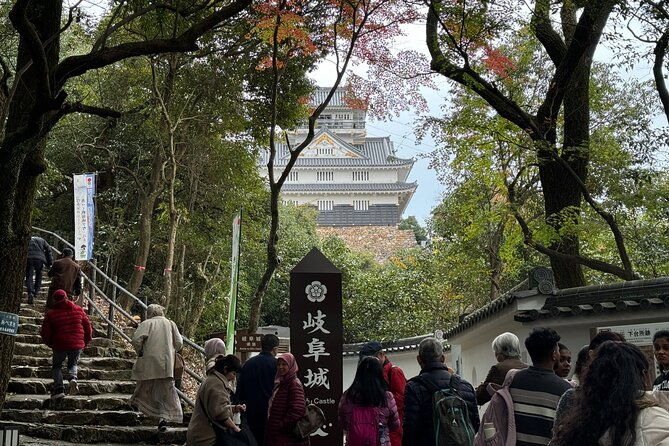 gifu-half-day-private-tour-castle-great-buddha-and-old-town