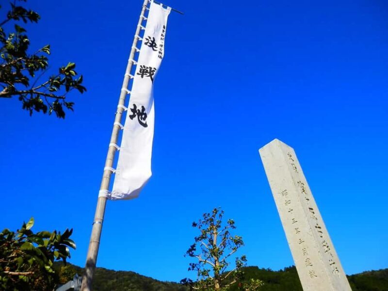 Gifu: Sekigahara and gaki Castle driving tour with Lunch - Key Points