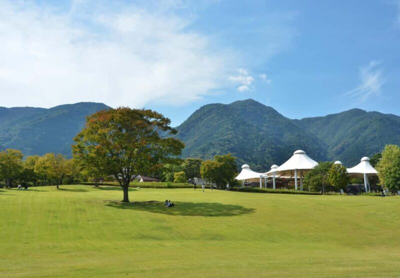 Gifu: Yrs Unforgettable Walkable Artwork - Key Points