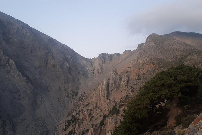gigilos-summit-adventure
