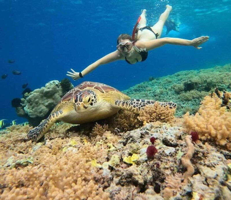 gili-air-private-snorkeling-in-4-spots-with-gopro-camera