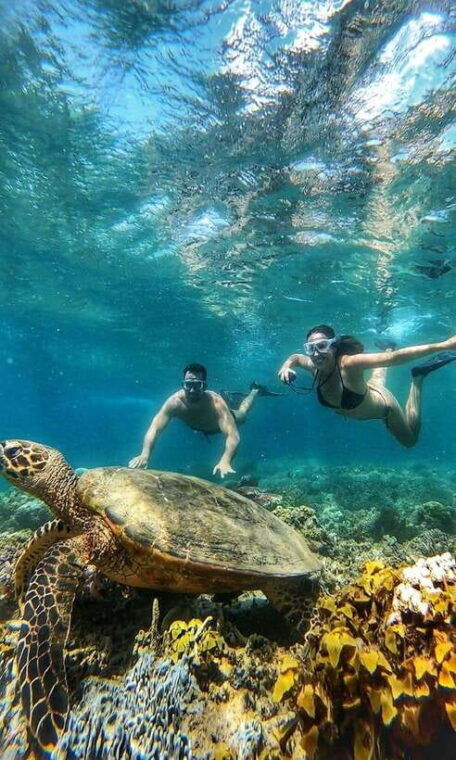 gili-air-private-snorkeling-in-4-spots-with-gopro-camera