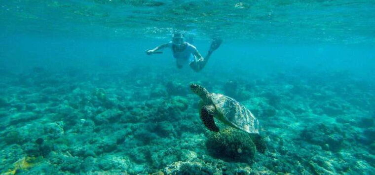 gili-air-private-snorkeling-in-4-spots-with-gopro-camera