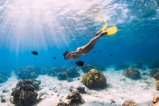 Gili Air : Private Snorkeling with 4 spots - Exploring the Details of the Gili Air Snorkeling Tour