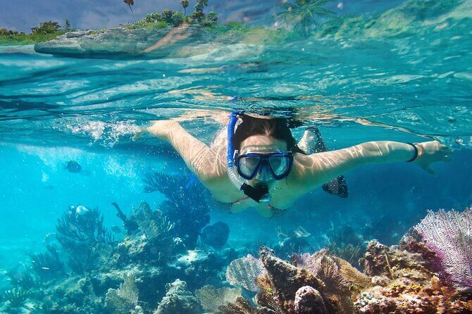 Gili Air : Private Snorkeling with 4 spots - FAQ