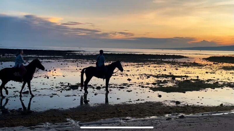 Gili Air: Private Sunrise or Sunset Horse Riding Tour - What to Expect from the Tour