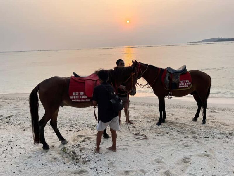 Gili Air: Private Sunrise or Sunset Horse Riding Tour - FAQ