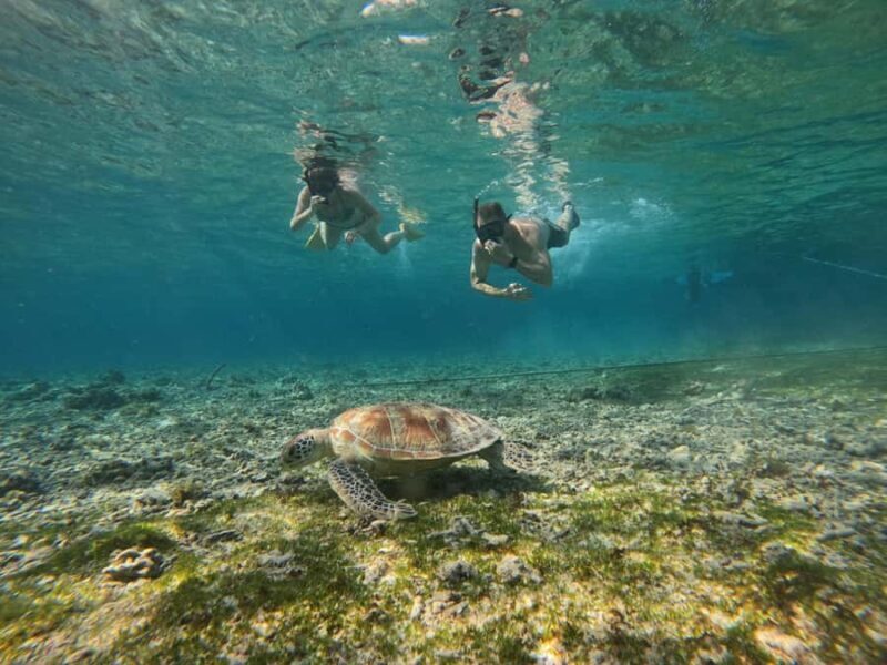 Gili Air: Small-Group Snorkeling Tour with GoPro - Key Points