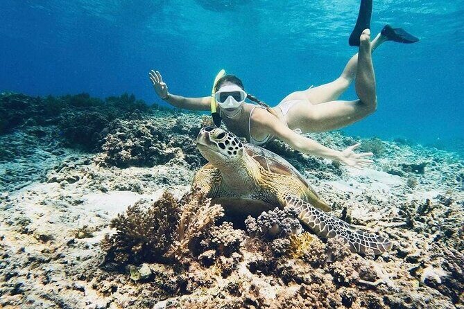 Gili Air: Snorkeling 3 Gili Islands with GoPro Camera - Key Points