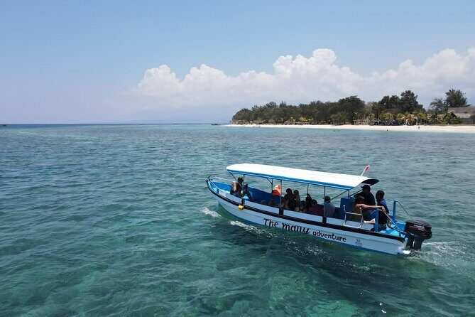 Gili Island Snorkeling Adventure Turtles Statues and Coral Garden - Key Points